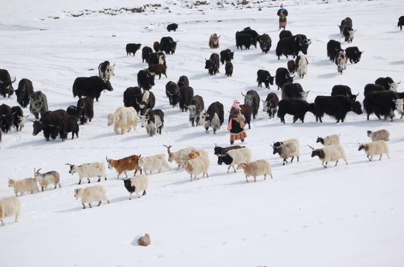 Impact on 2 billion people in Asia, research: Himalayan glaciers may melt 80% of the ecosystem by the end of this century | ICIMOD | Adaptation | Systems | Kush | Himalayan | Frozen | Glaciers