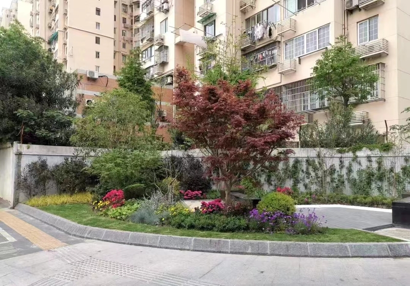Like poetry and painting... Have these pocket parks in Shanghai "cured" you?, Birds chirping and flowers fragrant garden | Intersection | Pocket