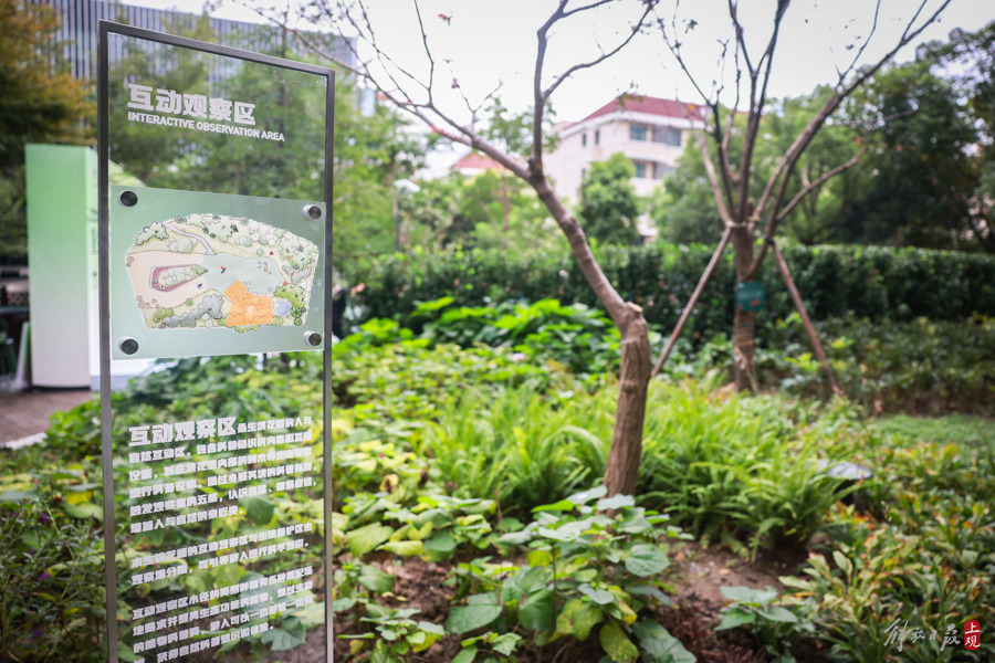 Inviting butterflies, birds, and various urban wildlife to stay, Shanghai's first commercial indoor habitat garden