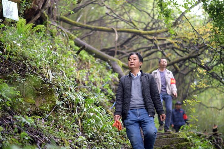 China accelerates the construction of a nature reserve system to protect rare animal and plant parks | National | System