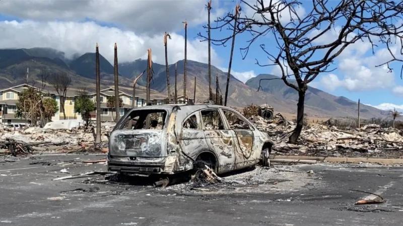 Is someone going to "steal the land"?!, Leaving the big spectrum! The search and rescue of the Hawaiian fire is not over yet. The victims are working hard