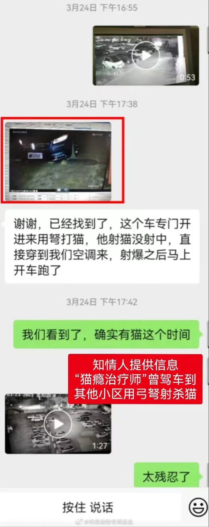 工行南宁新城支行通报“员工被曝虐猫”：解除合同