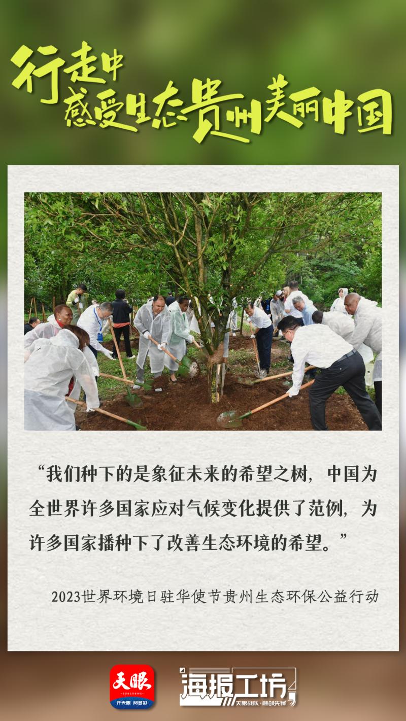 Experience Colorful Guizhou, Beautiful China | 2023 World Environment Day Ambassador to China Guizhou Ecological and Environmental Protection Public Welfare Action held, Walking in Civilization | Ecology | Guizhou