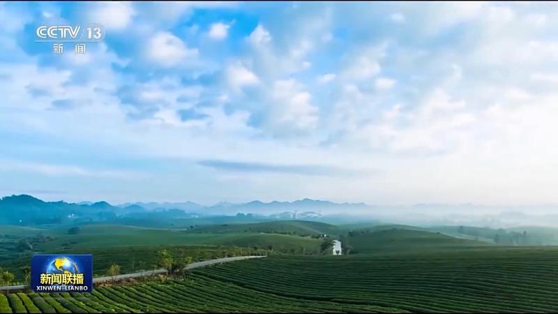 Every blade of grass and every tree has its own thoughts. We use green to draw a beautiful picture of China, updating the picture of people and nature | China | Picture Scroll