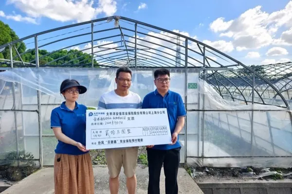 Farmers in Qingpu, Shanghai, received the first batch of advance compensation of 2.05 million yuan.