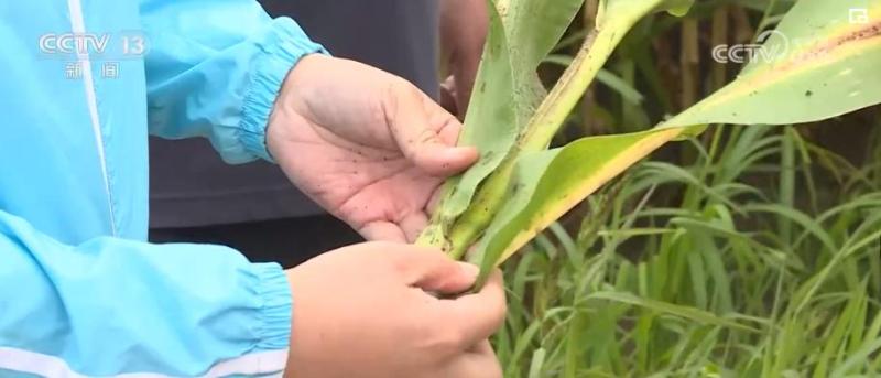 Heilongjiang accelerates the restoration of production and living order in disaster stricken areas. Well Water | Epidemic Prevention | Heilongjiang