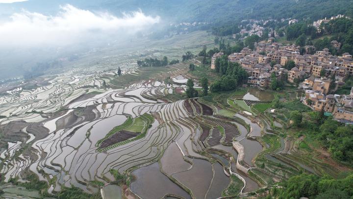 Hani Terraced Fields 10th Anniversary of World Heritage Application, Creating a "Live" Inheritance New Style Hani | Ecology | Style