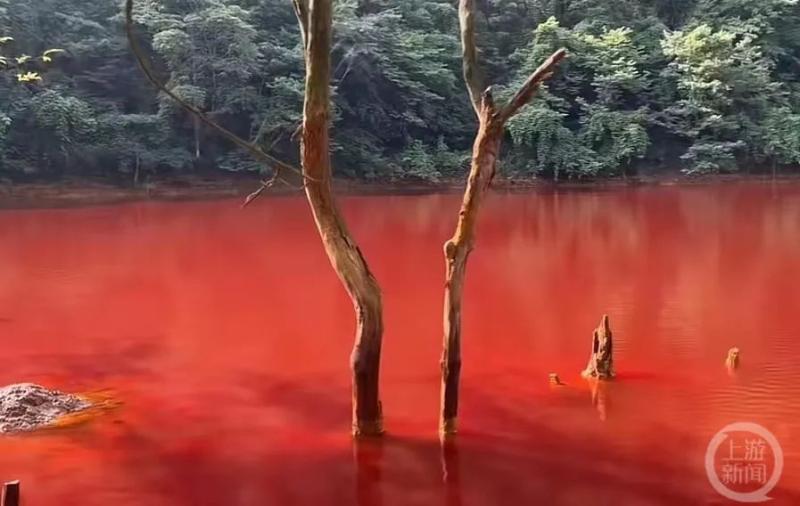贵州当地镇政府：正调查,湖泊涨水后呈血红色红色|周边|湖泊