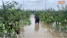 Seeing the power of professionalism, the "Ping An Orange" rescue in the wind and rain | Beijing | Wind and rain