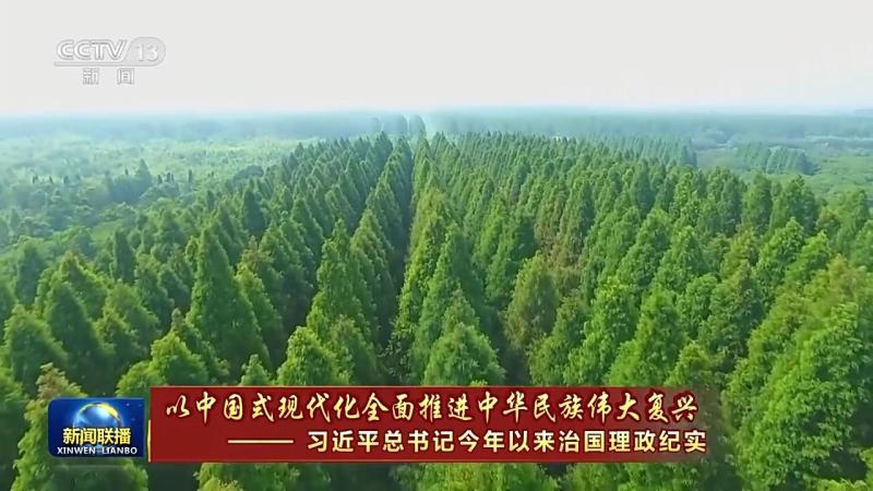 Every blade of grass and every tree has its own thoughts. We use green to draw a beautiful picture of China, updating the picture of people and nature | China | Picture Scroll