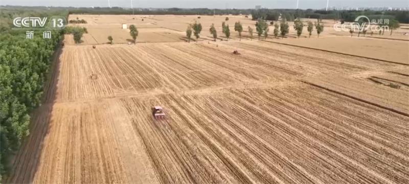 “农机+农技”相结合小麦抢收、秋粮抢种同步展开面积|预播|相结合小麦