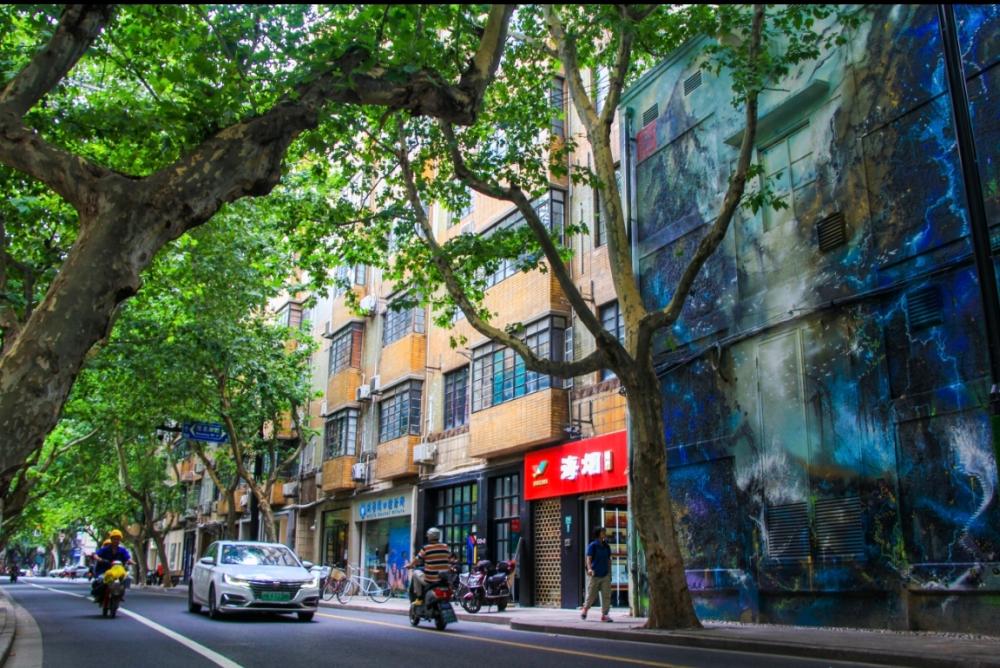 The city center's scenic area is facing difficulties in governance... There are many internet celebrity stores with high traffic, incomplete old houses, and many staff members in historical buildings | Information | Houses