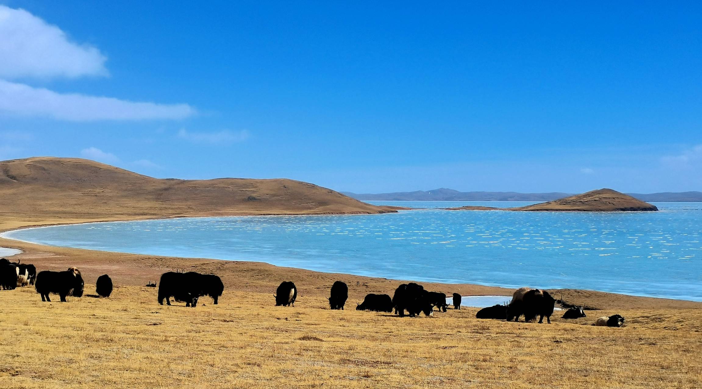 A review of promoting ecological protection and high-quality development in the Yellow River Basin