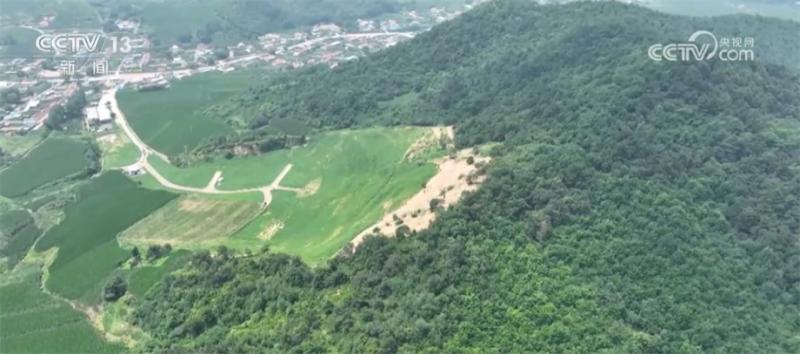 Once the mining area transformed into a sea of flowers, achieving coordinated development of the ecological environment with "green waters and green mountains" and "golden mountains and silver mountains" | National | Jinshan