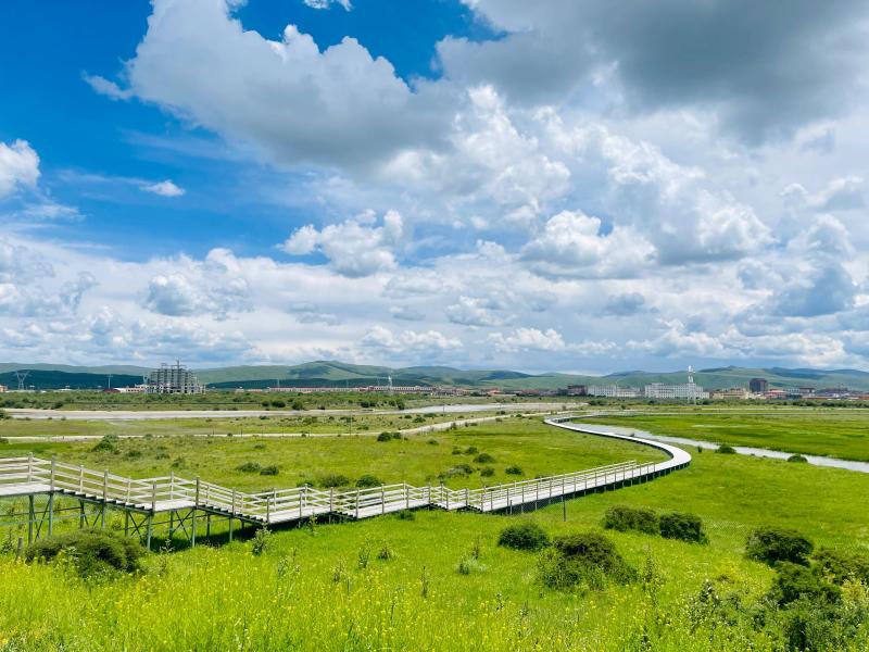 Our Home | Hongyuan, Sichuan: Creating a Characteristic Modern Agricultural Park to Assist Rural Revitalization Yak | Hongyuan County | Hongyuan, Sichuan