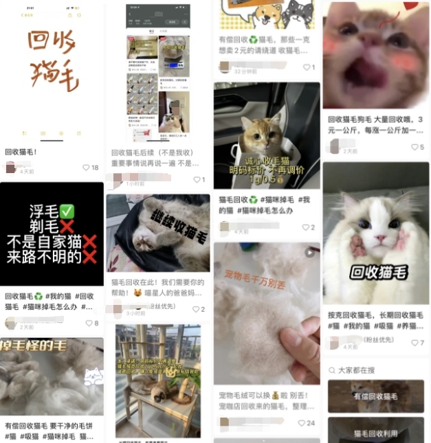 The reporter personally experienced and found that someone sold more than 200 yuan per gram of cat hair recycling? Bloggers bring products to raise doubts about cat hair | Bloggers | Recycling