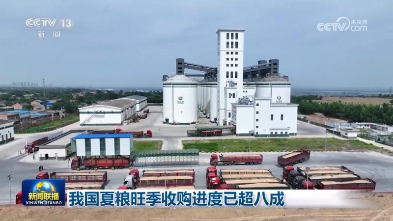 The progress of purchasing summer grain in China has exceeded 80%. Grain | Materials | China