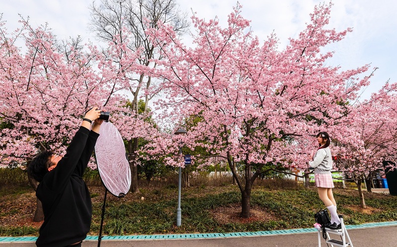 The Forbidden City's ban on commercial photography has attracted widespread praise: DSLR cameras are also not allowed? Where will travel photography go? Ge Ge | Commercial | SLR Camera