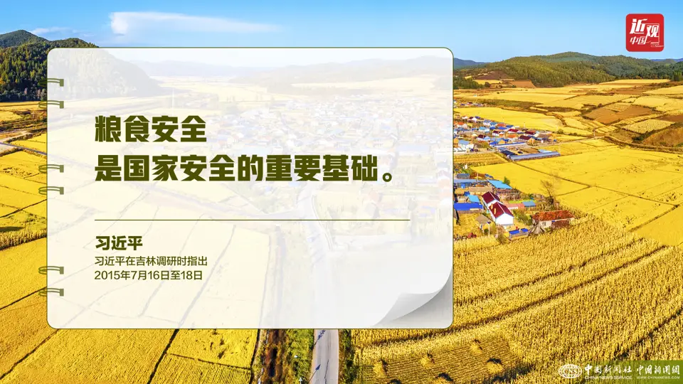 Build a diversified food supply system, Xi Jinping: Establish a big food concept