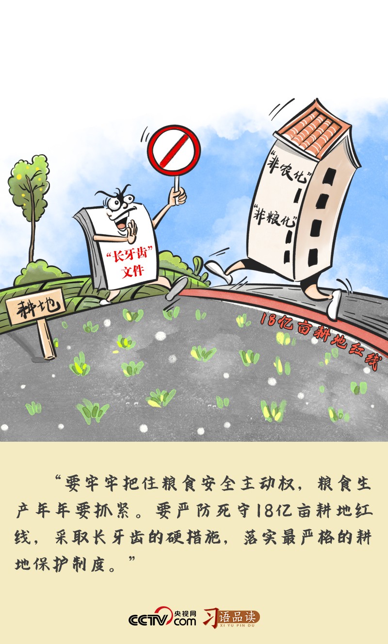 Idiom reading | to take "long teeth" hard measures to protect cultivated land protection | Xi Jinping | cultivated land
