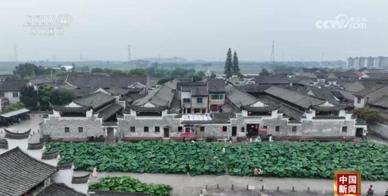 A cup of "Lotus Pond Coffee" leverages the cultural and tourism integration industry chain, and villagers enjoy the dividends of cultural and tourism development. Zhejiang | Project | Coffee