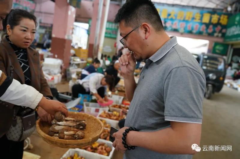 Poisoning warning! "Wild Mushroom Magic Season" Comes Again, Netizens | People | Warning