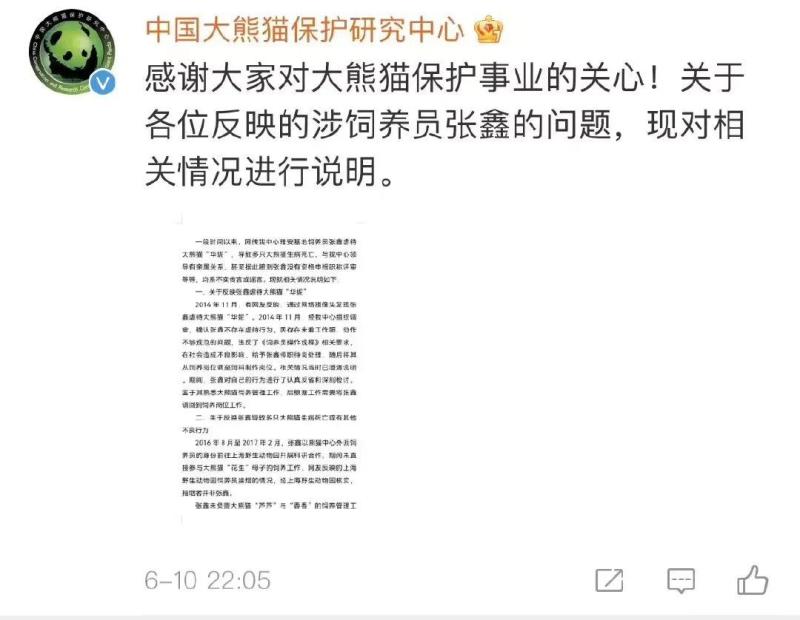 Official response, there are rumors online that "keeper Zhang Xin abused giant pandas" Zhang Xin | Center | Giant Pandas