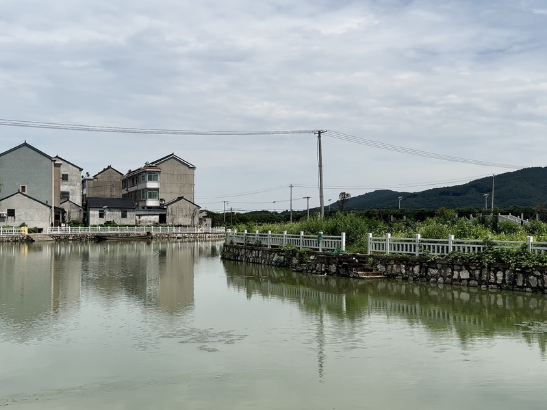 村民不想建民宿搞文旅？,打开盲盒村⑤|山清水秀的浙江小村浙江|春晖|文旅