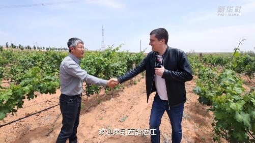 When French Guy Encounters Chinese Red Wine - "Foreign Journalist" Visits the Changes in Wine Production Areas Built on the Gobi Desert in China | Helan Mountain in Ningxia | Reporter