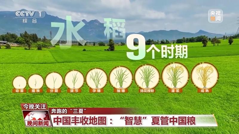 "Smart" Summer Management of Chinese Grain Looking at China's Harvest Map → National | Li Yuhuan | Smart