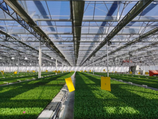 This enterprise in Pudong New Area has won the first prize of Shanghai Science and Technology Progress Award, promoting the pilot equipment of facility agriculture | Key Technologies | Pudong New Area