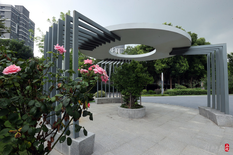 Walking, exercising, admiring flowers, strolling children... Multiple "pocket parks" in Qingpu have been built with open domes | Yingpu | admiring flowers