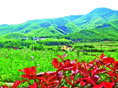 The "Three Transformations and Three Beauties" Environment on the Land of Zhijiang | Countryside | Earth
