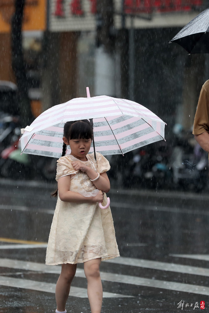 目前申城“双黄”预警高挂！,入梅首场暴雨来袭梅雨|上海|预警