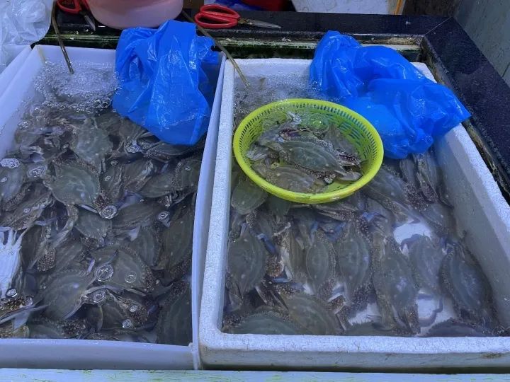 Will the price be halved immediately?, 50000 pounds of swimming crabs were snatched away! Hangcheng is crowded here: the whole family is waiting for this market | price | the whole family