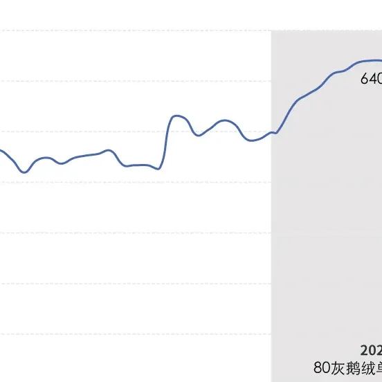 为何火了冲锋衣,羽绒服涨价