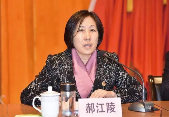 After being promoted for two years, the female county magistrate was eventually demoted. She was given additional disciplinary action twice last year. Hao Jiangling | Deputy Secretary | Two Years