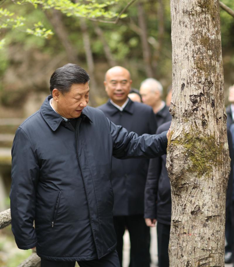 镜观·领航丨习近平：统筹山水林田湖草沙系统治理习近平