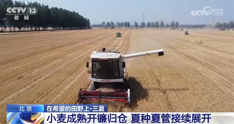 More than 95% of the national wheat harvest progress has been achieved, and measures have been taken to ensure a bountiful summer harvest in Tianjin