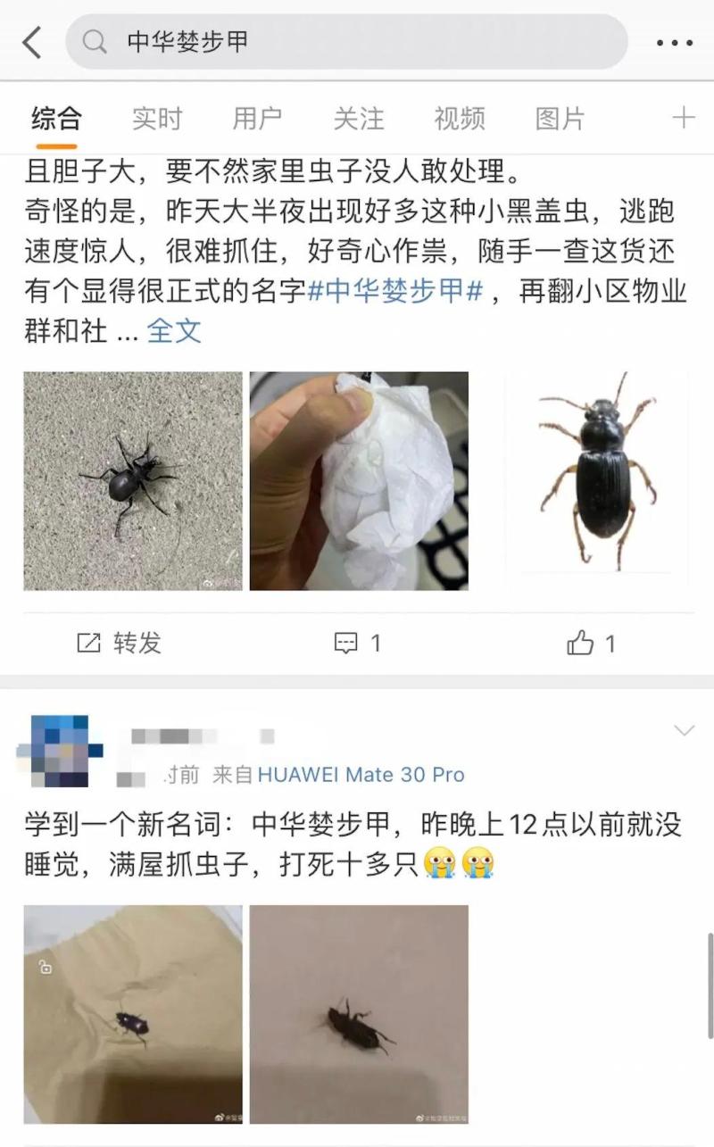 Emerging every day, the entire living room is filled with it! Many households in Hangzhou suddenly appear: scared and confused in the Beijing Tianjin Hebei region | netizens | living room