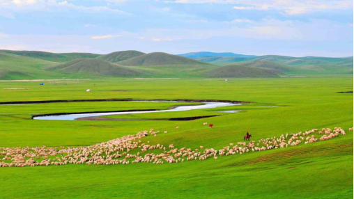 Let's clock in and taste this exhibition together!, The "good taste" from grasslands and mountains arrived in Inner Mongolia as promised | Guizhou | Dashan