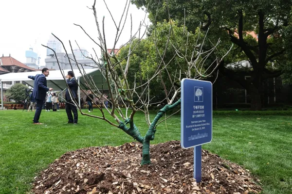 Experience the cutting-edge technology next to the "Newton Apple Tree" and join the "National Science Popularization Day" Shanghai event