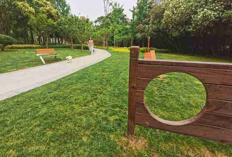 Walking dogs, opening flower shops, exploring non heritage markets... These pocket parks in Shanghai are not just about "park" life | city | pocket