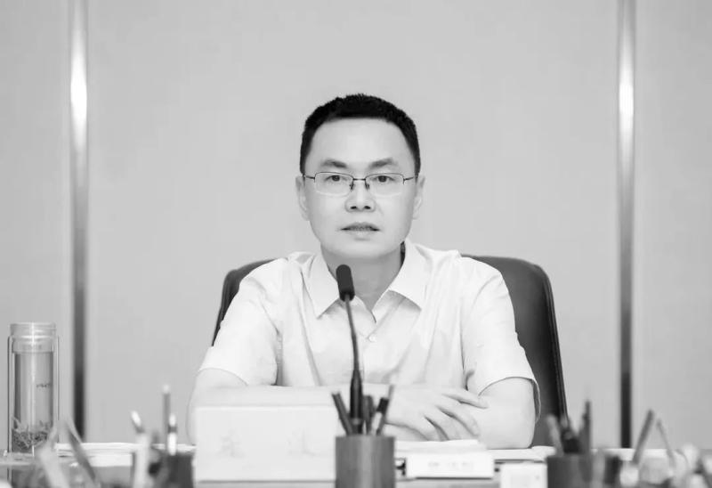 Due to illness, Pang Bo, Deputy Mayor of Changde City and Secretary of the Taoyuan County Party Committee, passed away | Comrade | Taoyuan