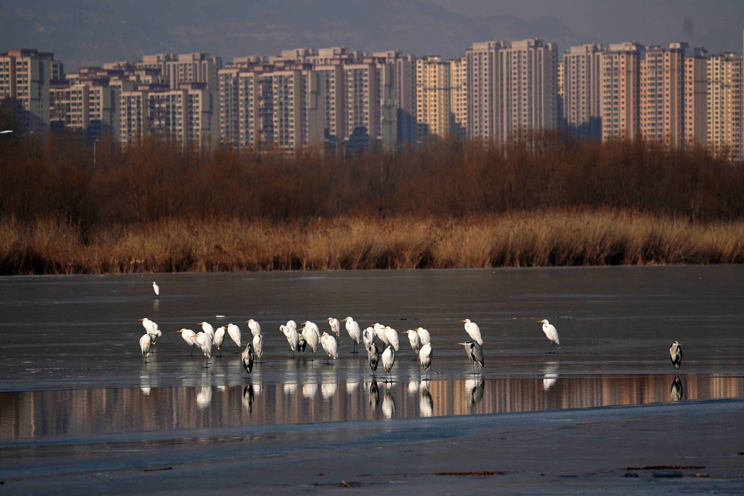 A City Embroidered for Thousands of Years - Observation of Taiyuan from the Perspective of Humanities and Economy