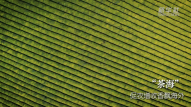 100 seconds to experience the beauty of colorful Guizhou, green | ecology | Guizhou