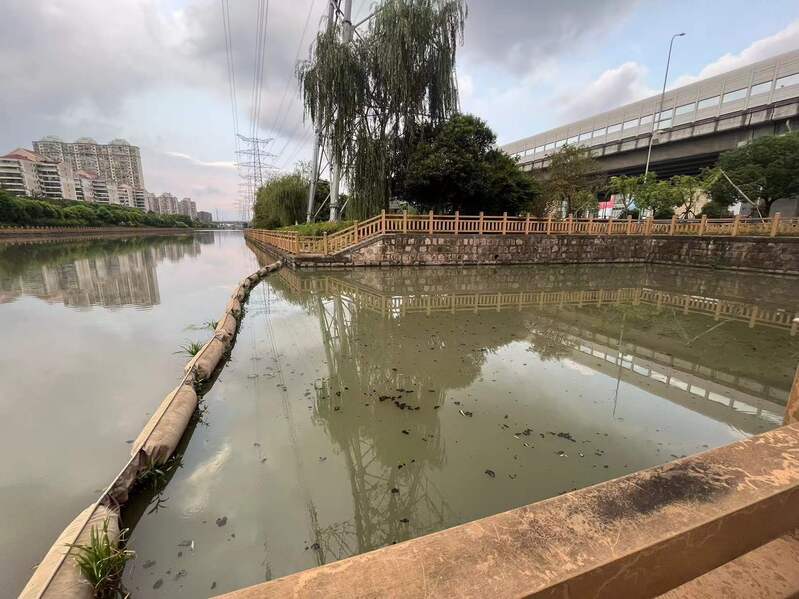如何才能根治？,河道还有“盲肠段”？上海这些水体反复黑臭居民难忍闵行区|河道|盲肠