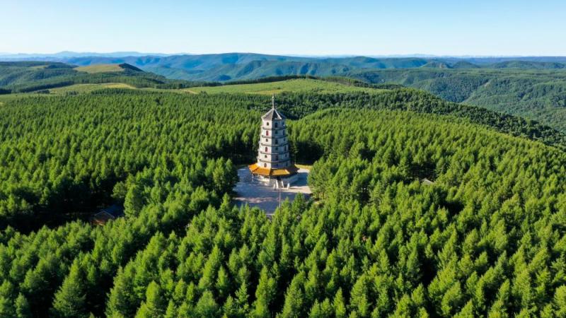 Mirror pilot builds the Green Ecological Barrier of the Motherland Helan Mountain | Forest | investigation | Engineering | UAV | Construction | three North | Ecology | Forest Farm | Xi Jinping