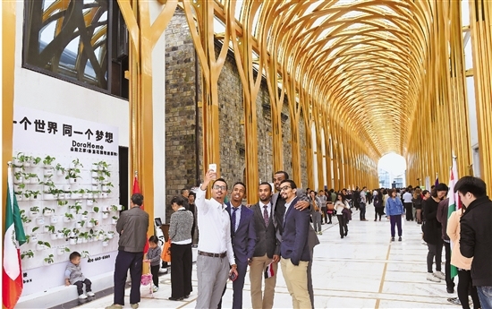 Are wild animals coming to Shanghai shopping mall to settle down? Shanghai's first commercial indoor habitat garden opened