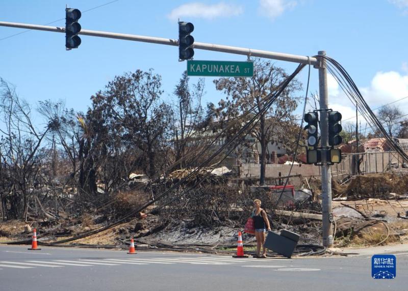 Direct Attack on the Scene: The Sorrow, Anger, and Expectations of Disaster Victims - Direct Attack on the Severe Wildfire Disaster Area of La Haina, Hawaii, 20th | Tan Jingjing | Wildfire | Anger